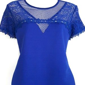 Lace detail cobalt blue short sleeve fitted top